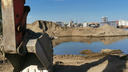 Возле нового ЛДС сотни ласточек поселились в огромном песчаном карьере, который хотели убрать с берега