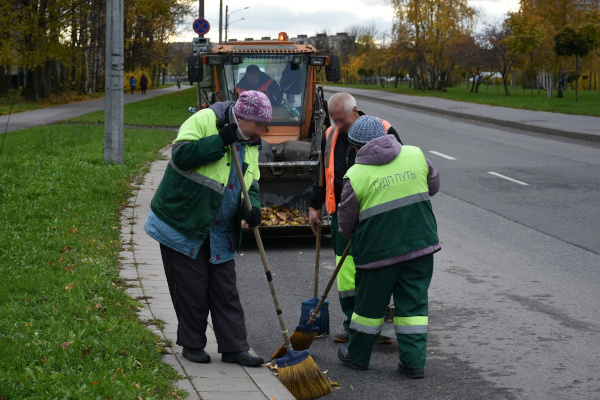 В Петербурге начали солить дороги: за неделю израсходовали 730 кубов раствора