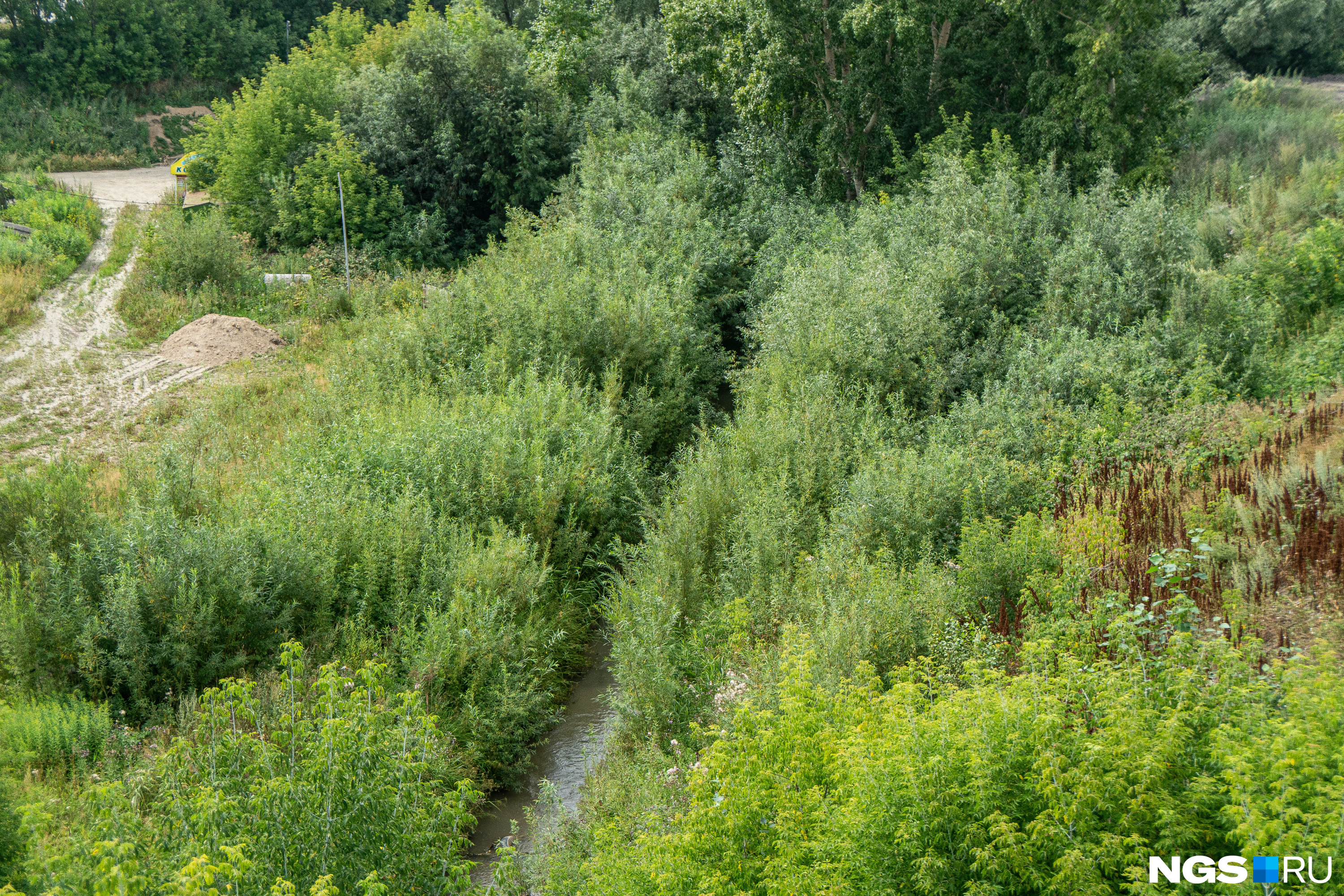 Река плющиха