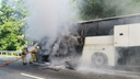 Автобусы с детьми столкнулись на трассе <nobr class="_">Джубга —</nobr> Сочи. Пострадали 16 человек