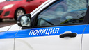 В Дзержинске <nobr class="_">8-летняя</nobr> школьница подняла по тревоге полицию и Росгвардию, придумав историю о похищении