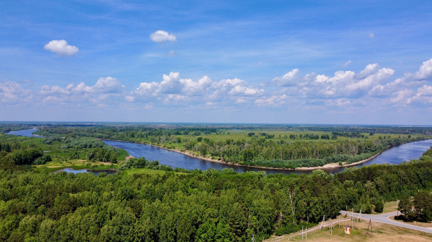 Сибирские владения тюмень. Лес река Криводанова. Криводанова. Красивые лесочки около Тюмени.