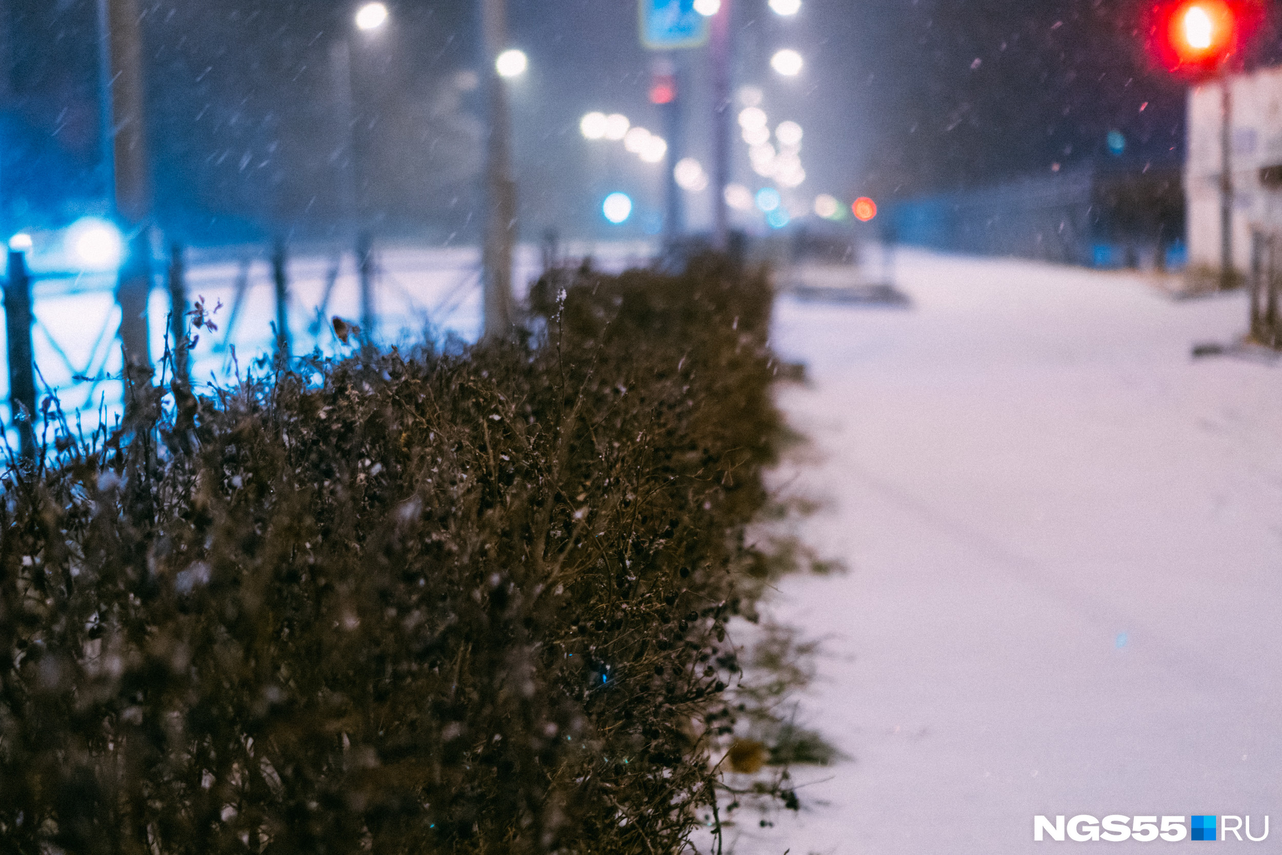 Кусты на обочине дороги принимают на себя удары падающих снежинок