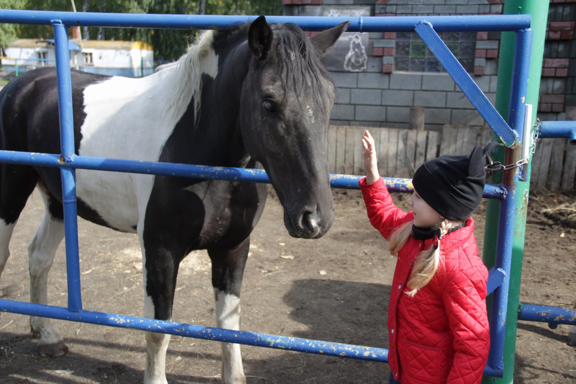 Лошади прекрасно ладят с детьми