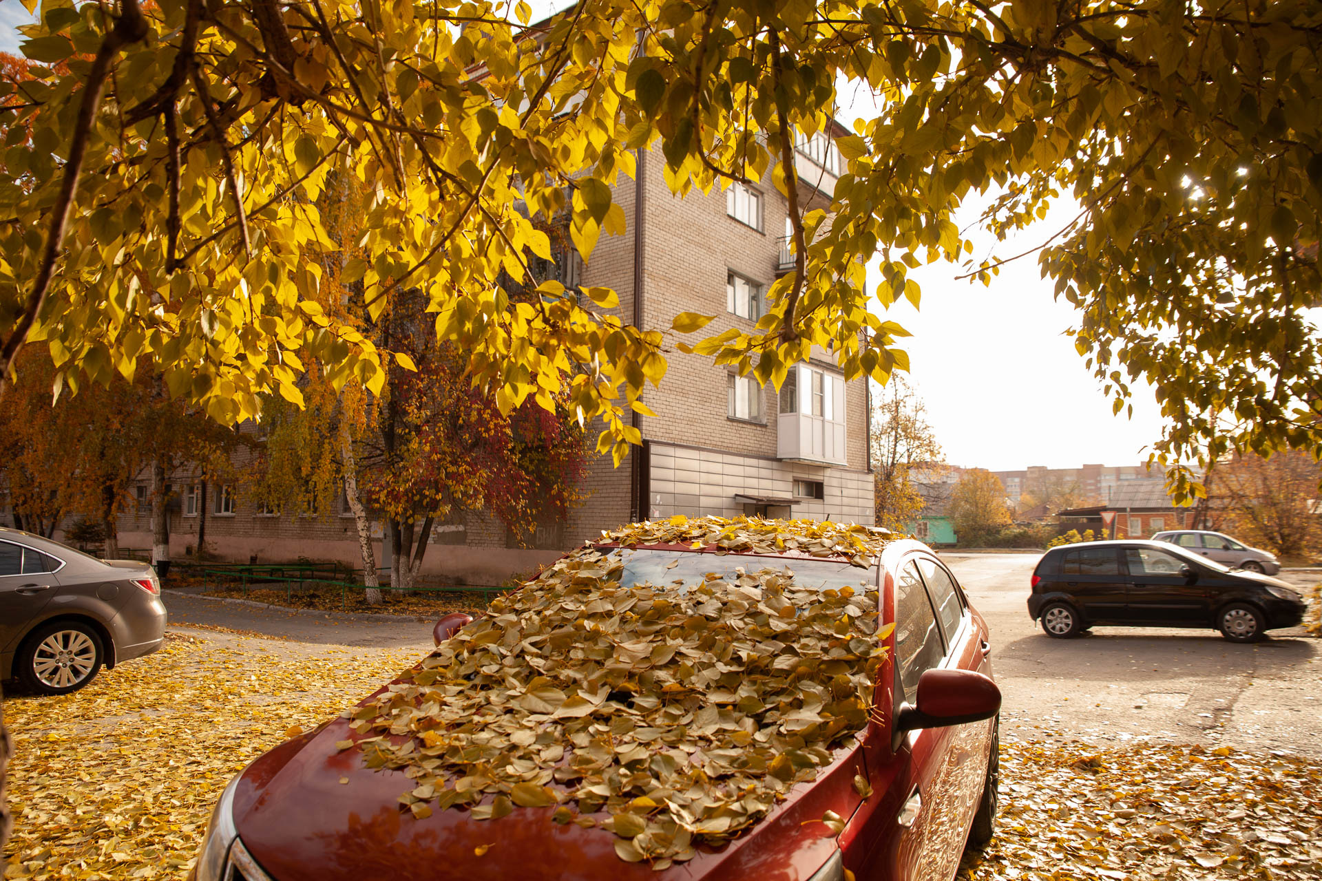 Осень заботливо укутывает машины пледом из листьев. Смотрится до того красиво, что рука не поднимается смахнуть их