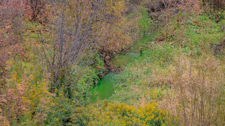 «Т Плюс» начал проверку теплосетей на правом берегу Перми: жители снова могут обнаружить зеленую воду
