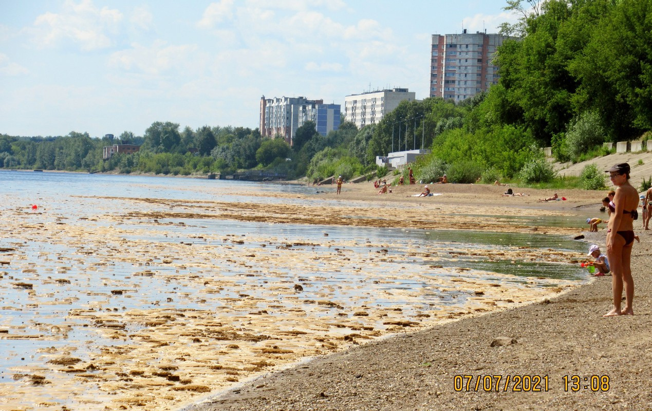 Люди не спешат заходить в воду Люди не спешат заходить в воду