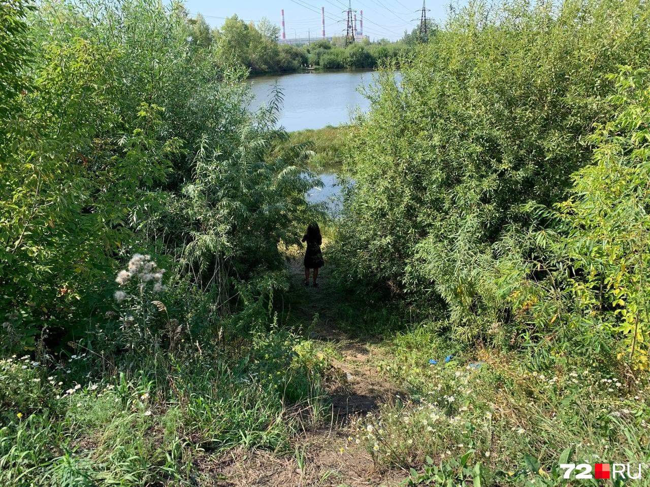 Тело Насти Муравьевой нашли на берегу озера Оброчного в районе Лесобазы — на улице Дамбовской