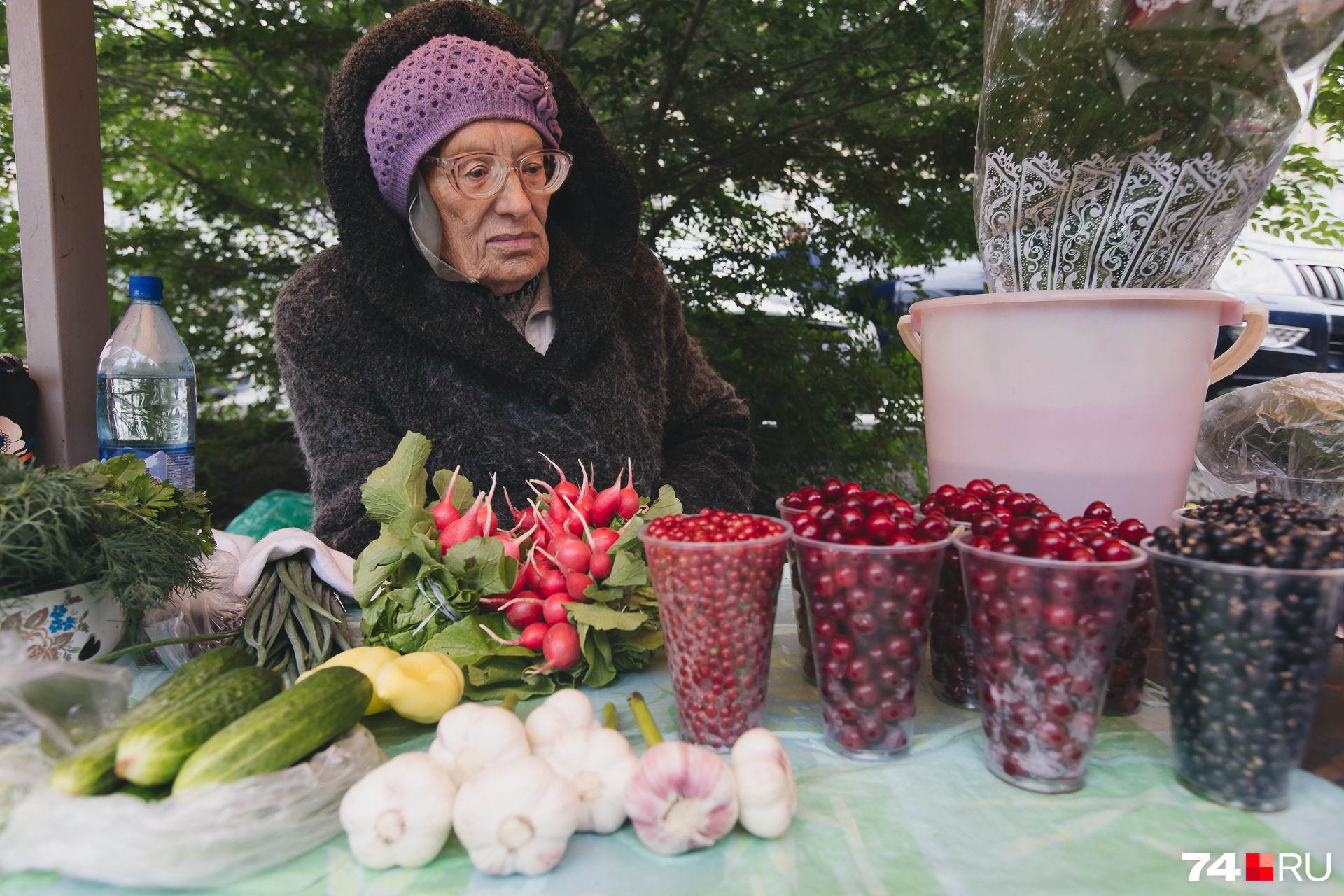 Нина Васильевна сокрушается: всё заработанное с продажи урожая уходит на бензин, чтобы ездить в сад