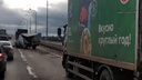В Ярославле грузовик протаранил «Газель» с коровами: на дороге образовалась пробка