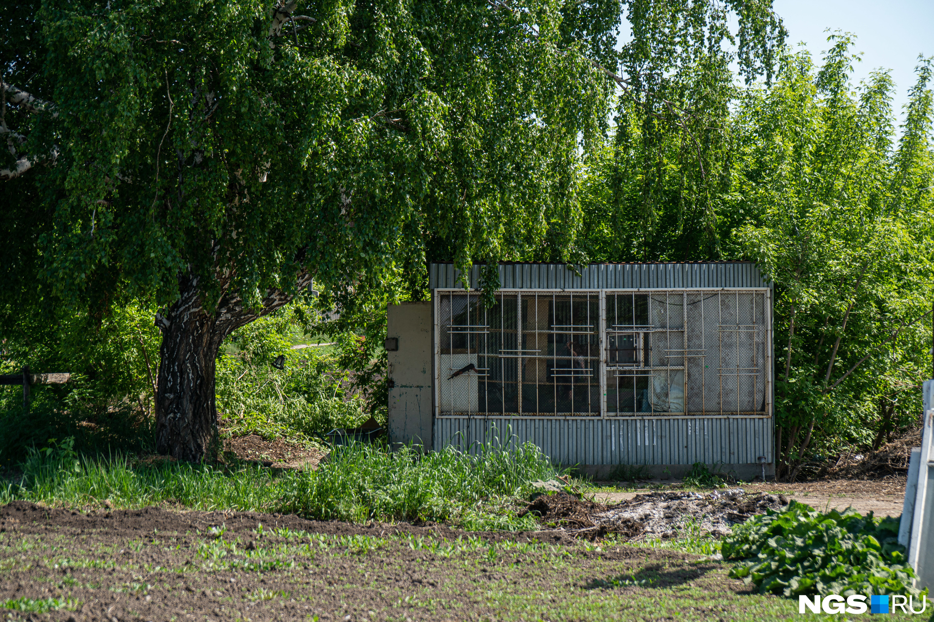 Вся инфраструктура есть со стороны «Рассвета» и в районе остановки, в <nobr class="_">10 минутах</nobr> ходьбы от дач, но сейчас к открытию готовят киоск Вся инфраструктура есть со стороны «Рассвета» и в районе остановки, в <nobr class="_">10 минутах</nobr> ходьбы от дач, но сейчас к открытию готовят киоск