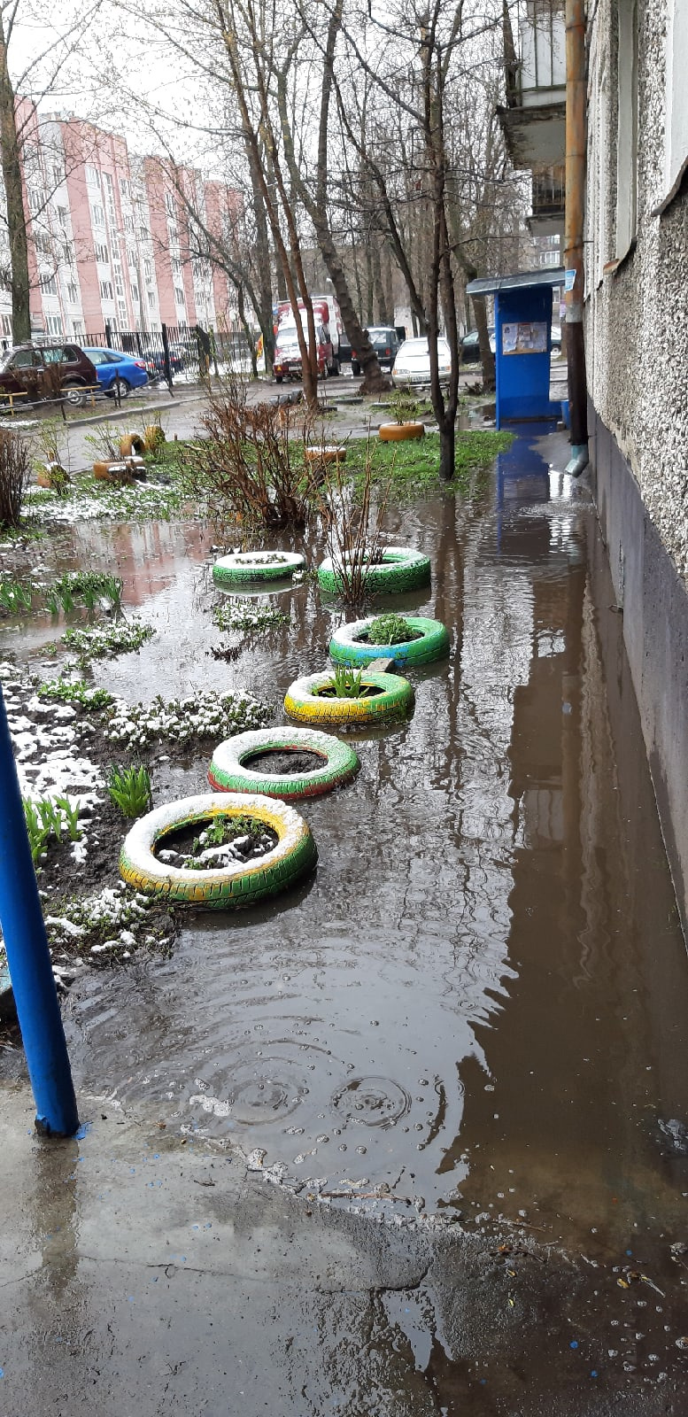 Затопленный двор Затопленный двор