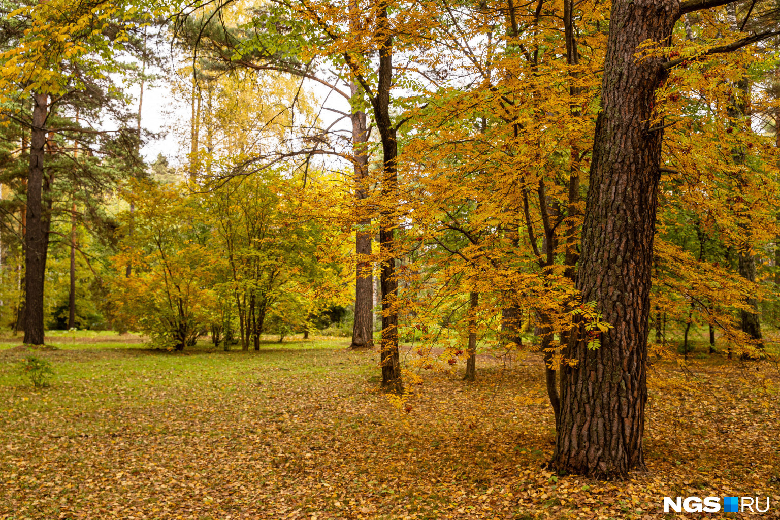 Осенний Ботанический сад — прекрасное место для тихих задумчивых прогулок