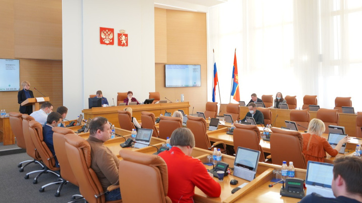 Депутаты горсовета проверят, чем кормят детей в школьных столовых Красноярска