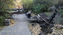 В центре Челябинска перекопали сквер и повредили корни деревьев