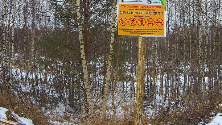 В 50 метрах от охраняемого озера: в Ярославской области нашли незаконно построенную дорогу
