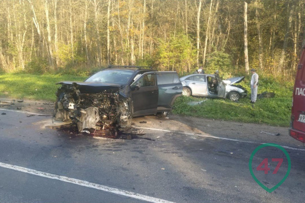 Смертельный выезд на встречку на Киевском шоссе спровоцировал третий водитель