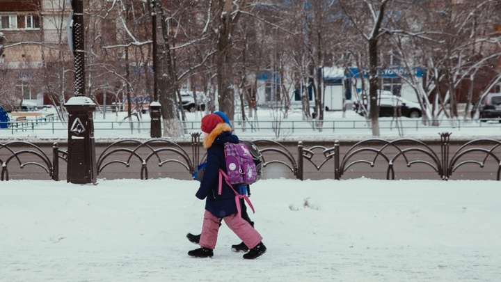 Тюменские младшеклассники второй смены остаются дома из-за мороза
