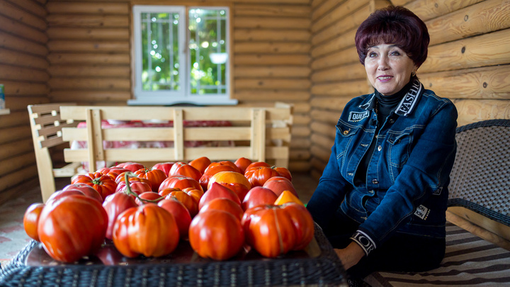 «Есть три главных правила»: чемпионка по выращиванию помидоров раскрыла секрет идеальных томатов
