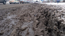 Суды, эксперимент и море грязи: как Красноярск отказывался и снова вернулся к «Бионорду»