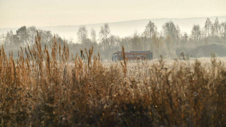 Едкий дым не отступает: на юге Екатеринбурга продолжают тлеть почти 5 га торфяника
