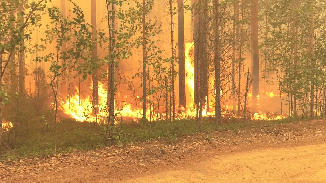 Для тушения лесных пожаров в Карелии вызвали парашютистов-десантников, а в Якутии — дожди