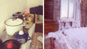 «Люди плачут на колонке»: жители Архангельска топят снег, чтобы в морозы у них была вода