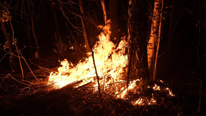 Обогнали даже Якутию: Свердловская область вышла на первое место по количеству лесных пожаров