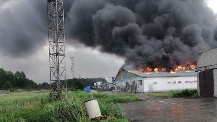 При пожаре на птицефабрике под Челябинском погибли 200 тысяч голов. Будет ли «Равис» повышать цены?