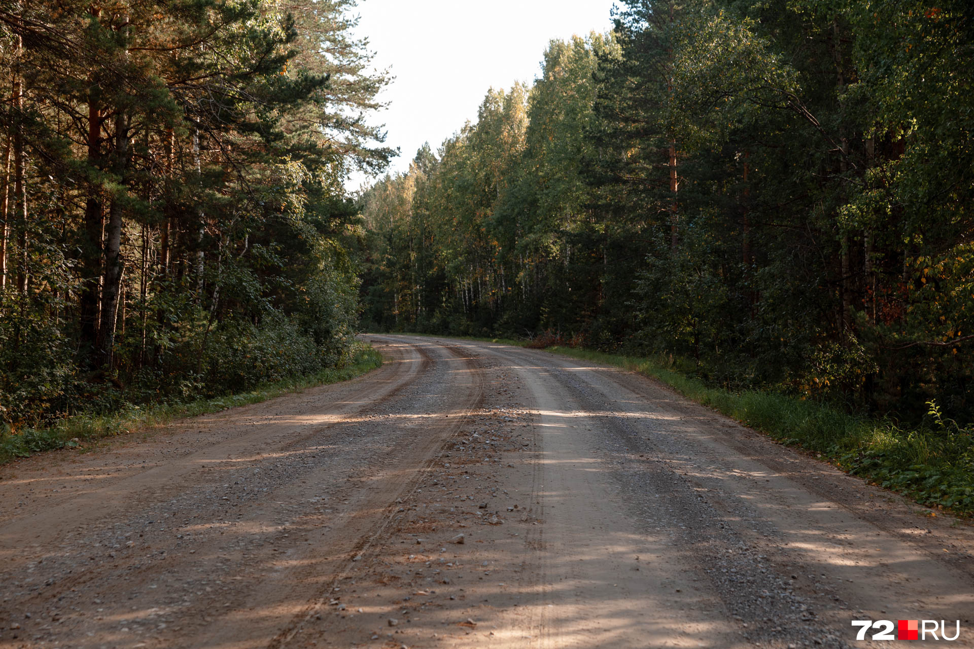 Извилистая с щебнем дорога, ведущая из Юргинского в Новый Тап. Иногда из одной части леса в другую здесь перебегают животные — косули и лоси