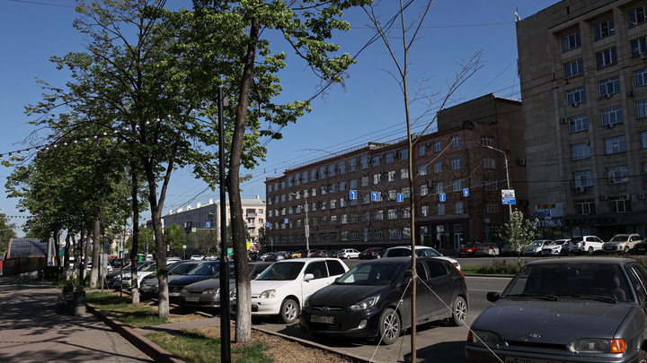 В УФАС озвучили итоги дела о сговоре мэрии Челябинска с предпринимателями при озеленении проспекта Ленина