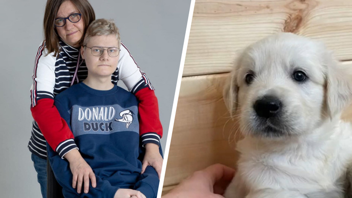 «Мы успели исполнить его мечту»: 17-летний Марк Кузнецов скончался от рака, перед смертью ему подарили щенка