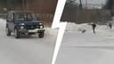 На Урале полицейские задержали мужчину, который расстрелял собаку из охотничьего ружья