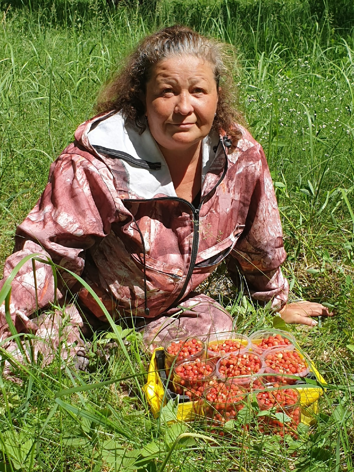 Лесная клубника в челябинской области