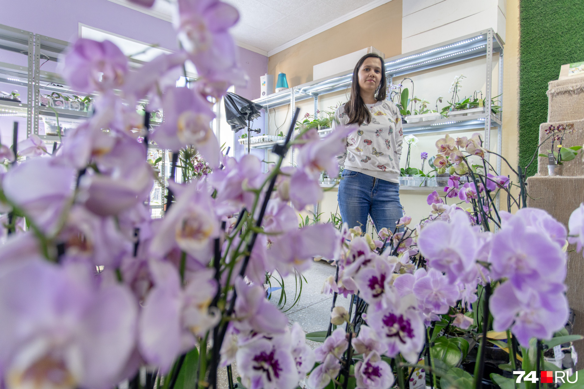 Орхидеи из Челябинска разлетаются по всему миру 