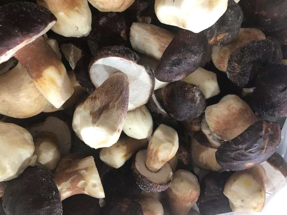 Такие красивые белые грибы из прикамских лесов Максим продал в Италию