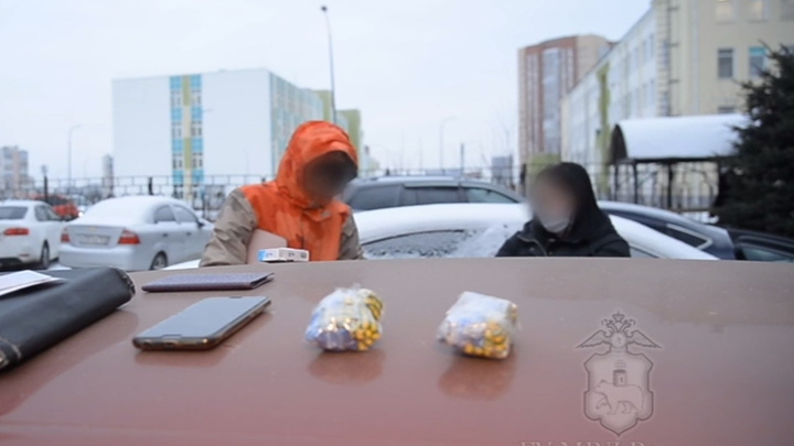 В Прикамье закладчик с крупной партией наркотиков пытался сбежать от полицейских. Видео