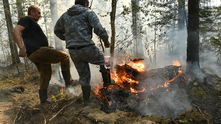 Действующих лесных пожаров не осталось в Приангарье, два возгорания локализованы на 10,88 тыс. га