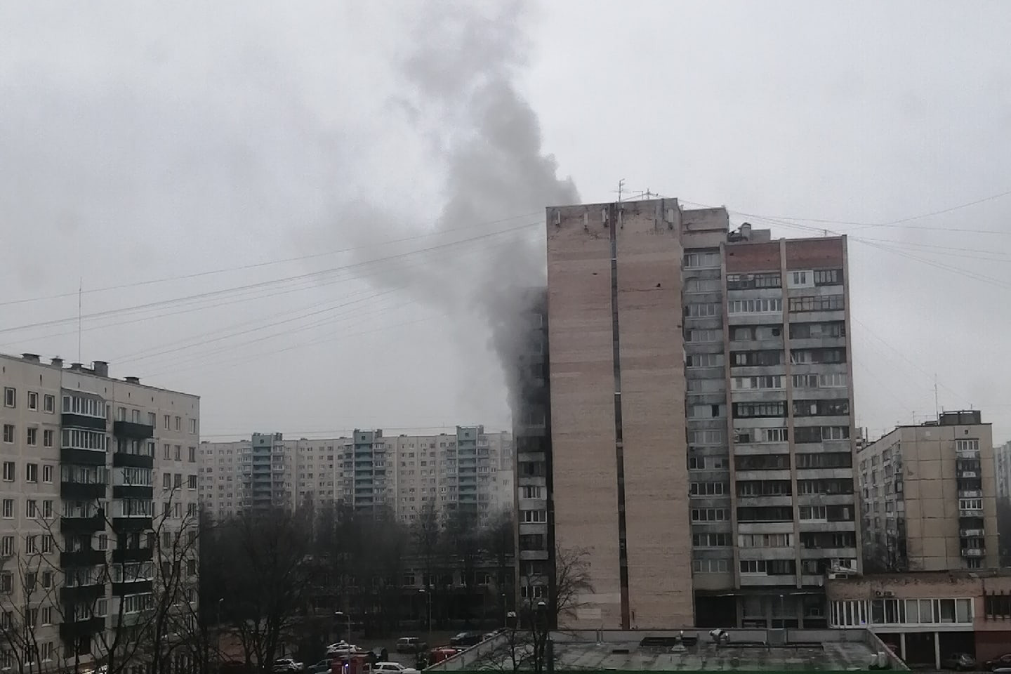 сиреневый бульвар в санкт петербурге