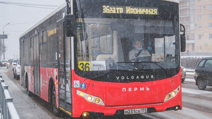 В Перми на время ремонта трамвайных путей на улице Уральской запустят укороченные автобусные рейсы