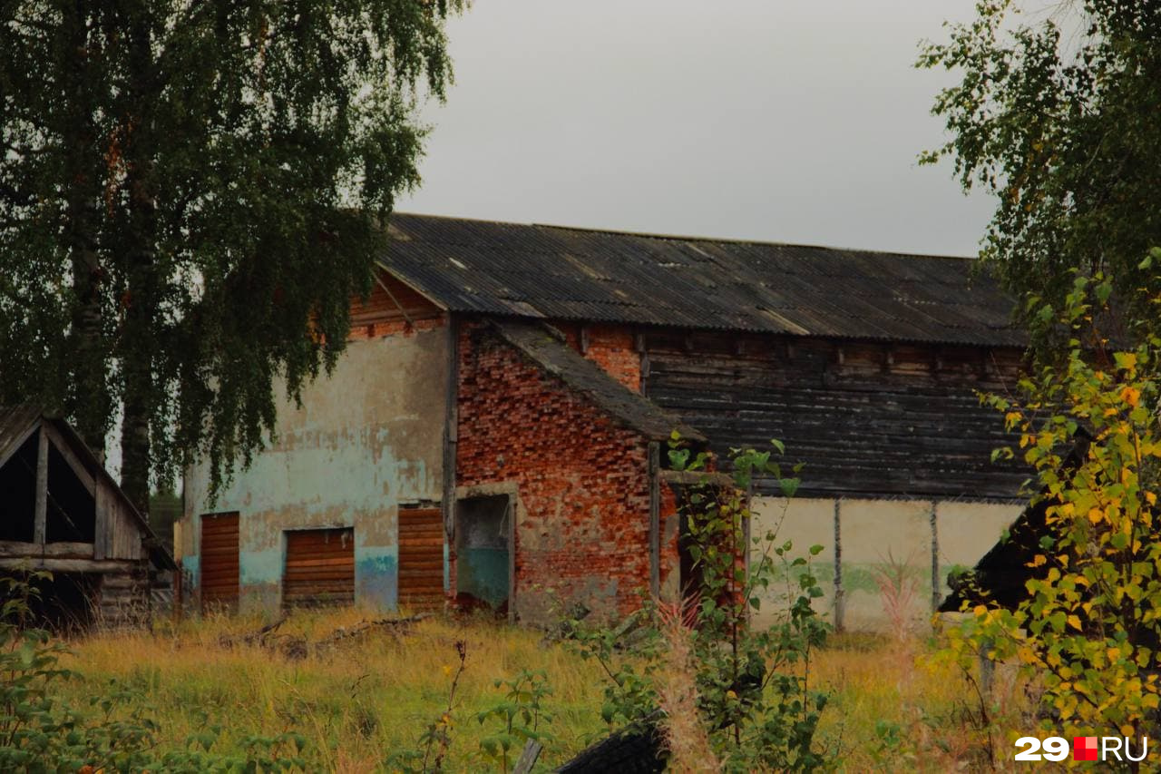 В 2003-м лесопункт ликвидировали, а вместе с ним замерла и жизнь в поселке. Так выглядит сегодня поселковый клуб, где раньше веселились местные жители. Сегодня вместо дискотек — оглушающая тишина В 2003-м лесопункт ликвидировали, а вместе с ним замерла и жизнь в поселке. Так выглядит сегодня поселковый клуб, где раньше веселились местные жители. Сегодня вместо дискотек — оглушающая тишина