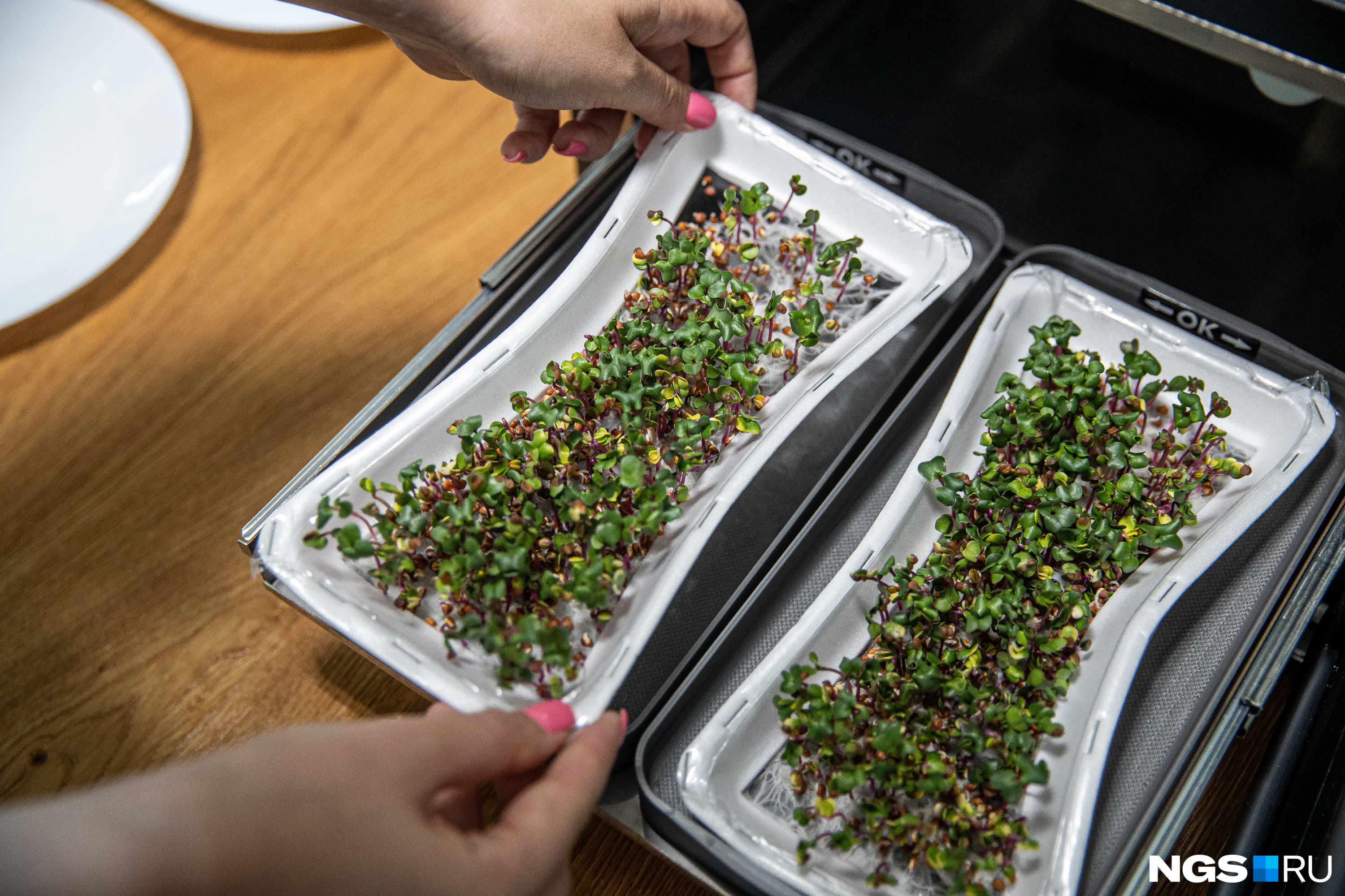 У микроредиски получился концентрированный и «хрустящий» вкус У микроредиски получился концентрированный и «хрустящий» вкус