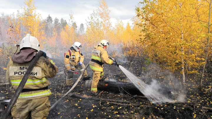 В Тольятти во время пожара сгорело больше 4 гектаров леса