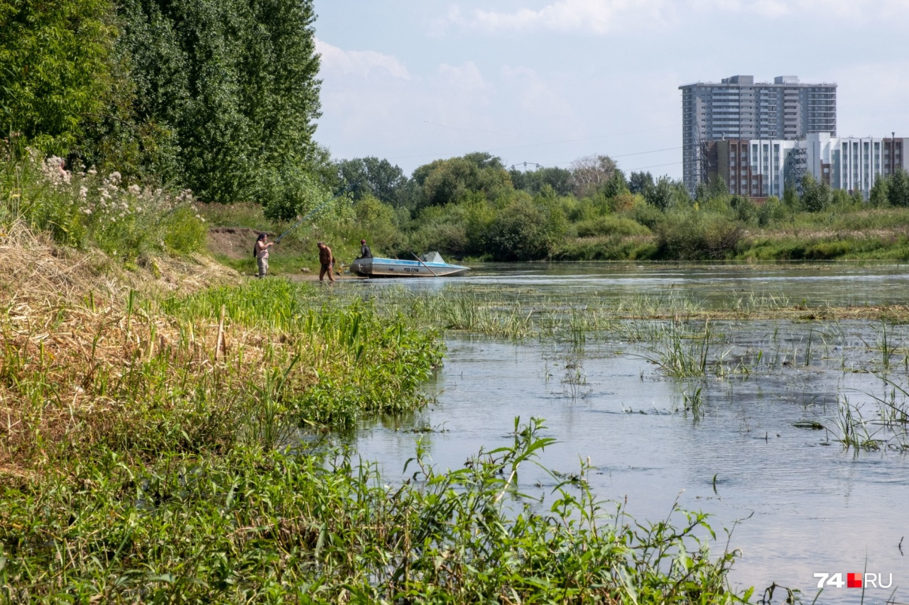 Строительство моста в болоте