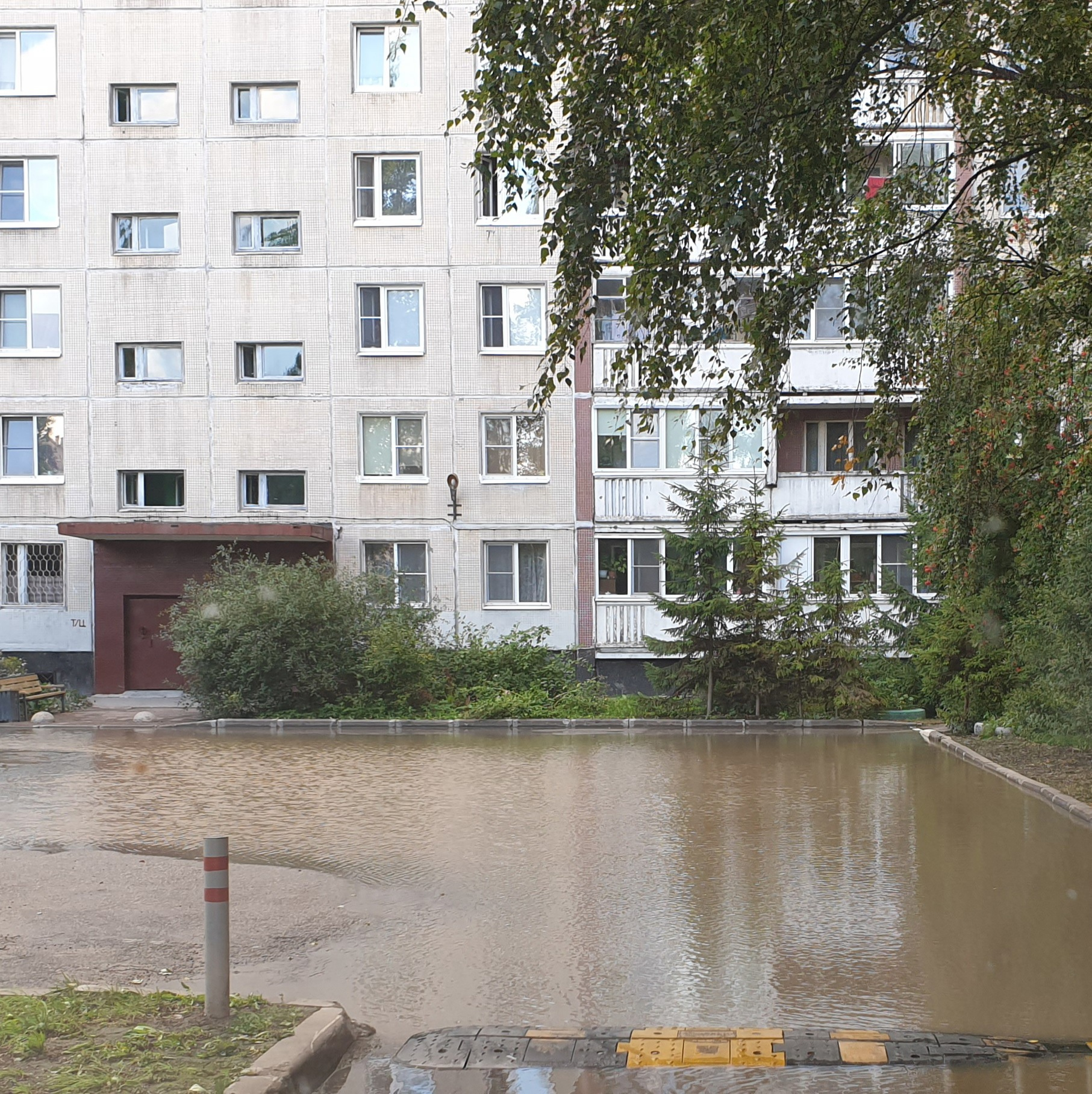 В Колпино двор стал достопримечательностью — там под землю провалилась  машина, а рядом образовалось озеро - 18 августа 2021 - ФОНТАНКА.ру