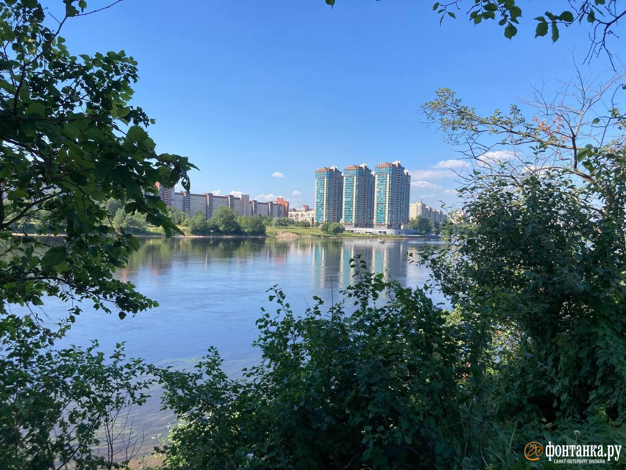 Новосаратовка свердловское поселение. Новосаратовка. Новосаратовка СПБ. Город первых Новосаратовка. Новосаратовка чистый город.