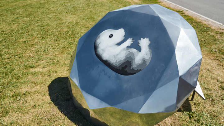 Поморье — бриллиант с тюленем. Так область изобразили на выставке в Санкт-Петербурге