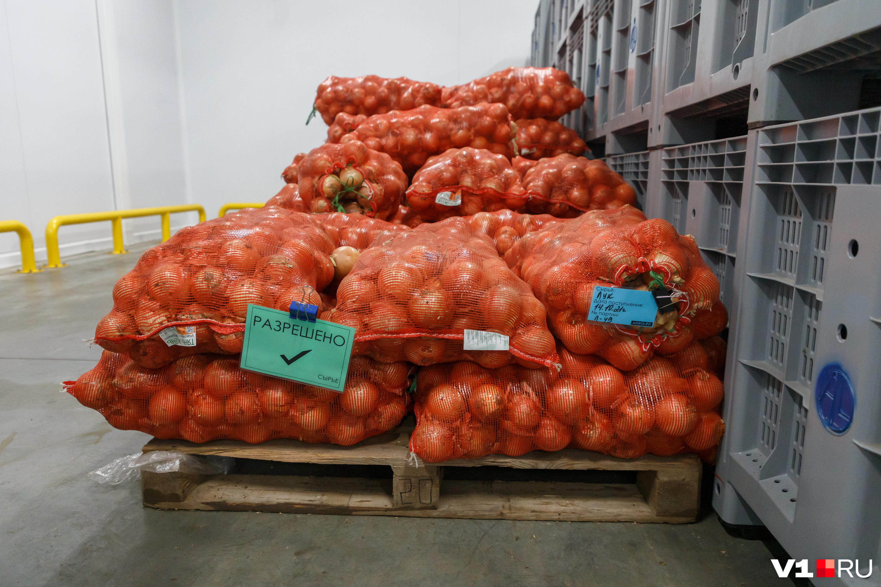 На складах магазинов и перерабатывающих предприятий должны появиться местные овощи, а не импорт