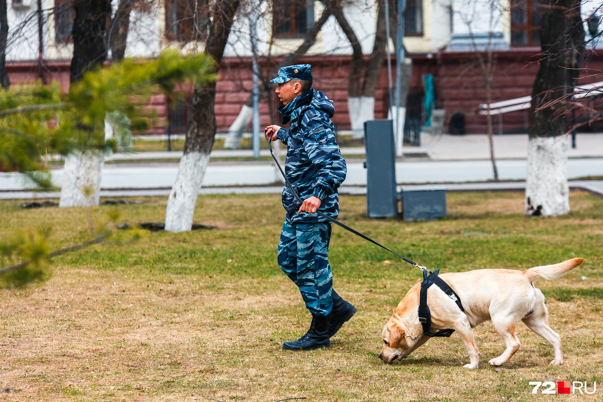 В тюменской полиции не хватает участковых, следователей и кинологов В тюменской полиции не хватает участковых, следователей и кинологов