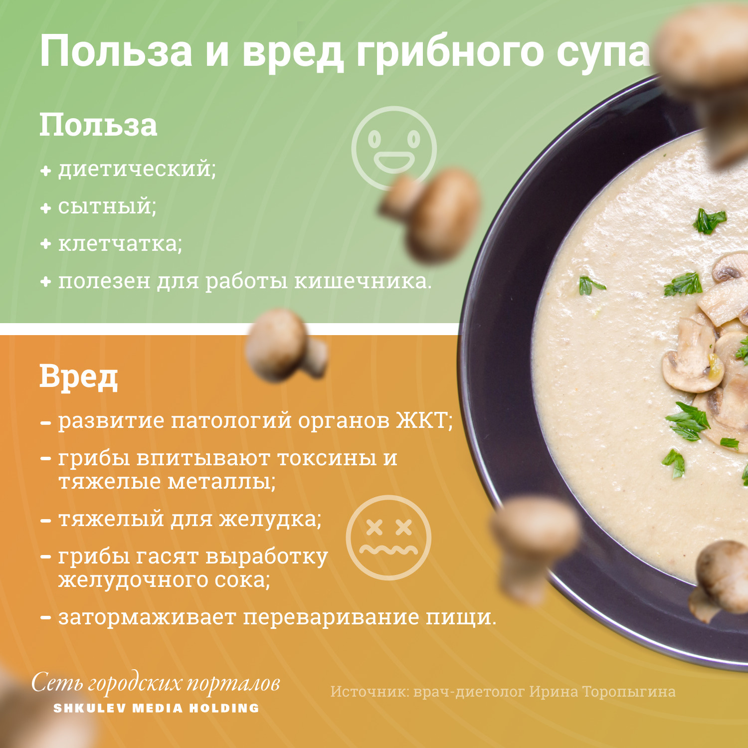 Суп-пюре из грибов: рецепты и полезные свойства